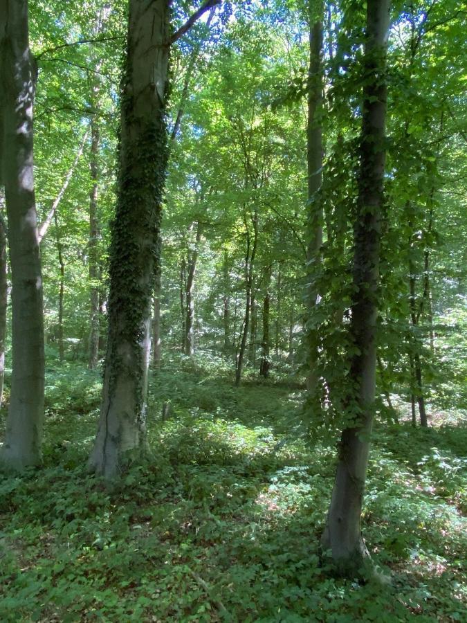Le Dome De Namur - Une Nuit Insolite Dans Les Bois Exterior foto